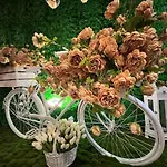 Moura Boutique By Asteri بوروفتس