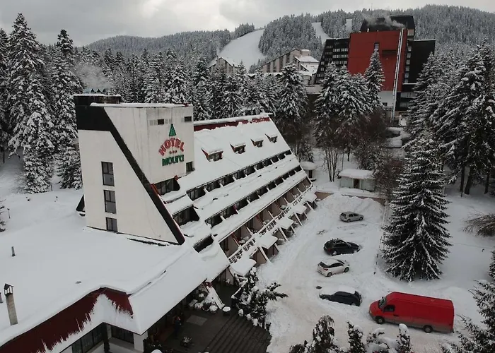 Moura Boutique By Asteri